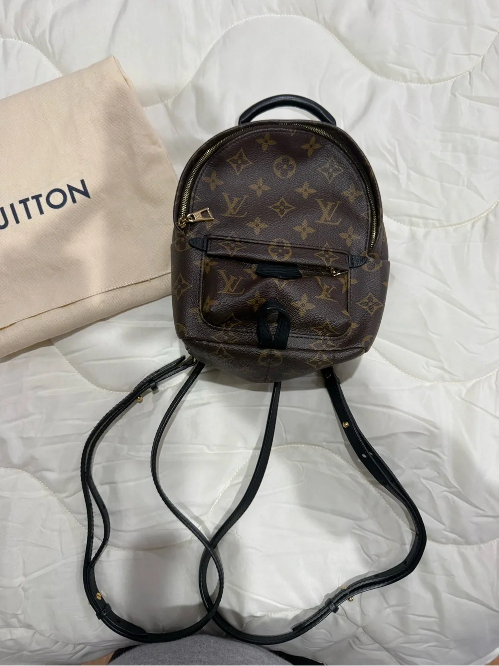 Louis Vuitton palm spring mini